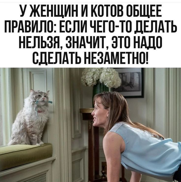 У ЖЕНЩИН И КОТОВ ОБЩЕЕ ПРАВИЛО: ЕСЛИ ЧЕГО-ТО ДЕЛАТЬ НЕЛЬЗЯ, ЗНАЧИТ, ЭТО НАДО СДЕЛАТЬ НЕЗАМЕТНО!