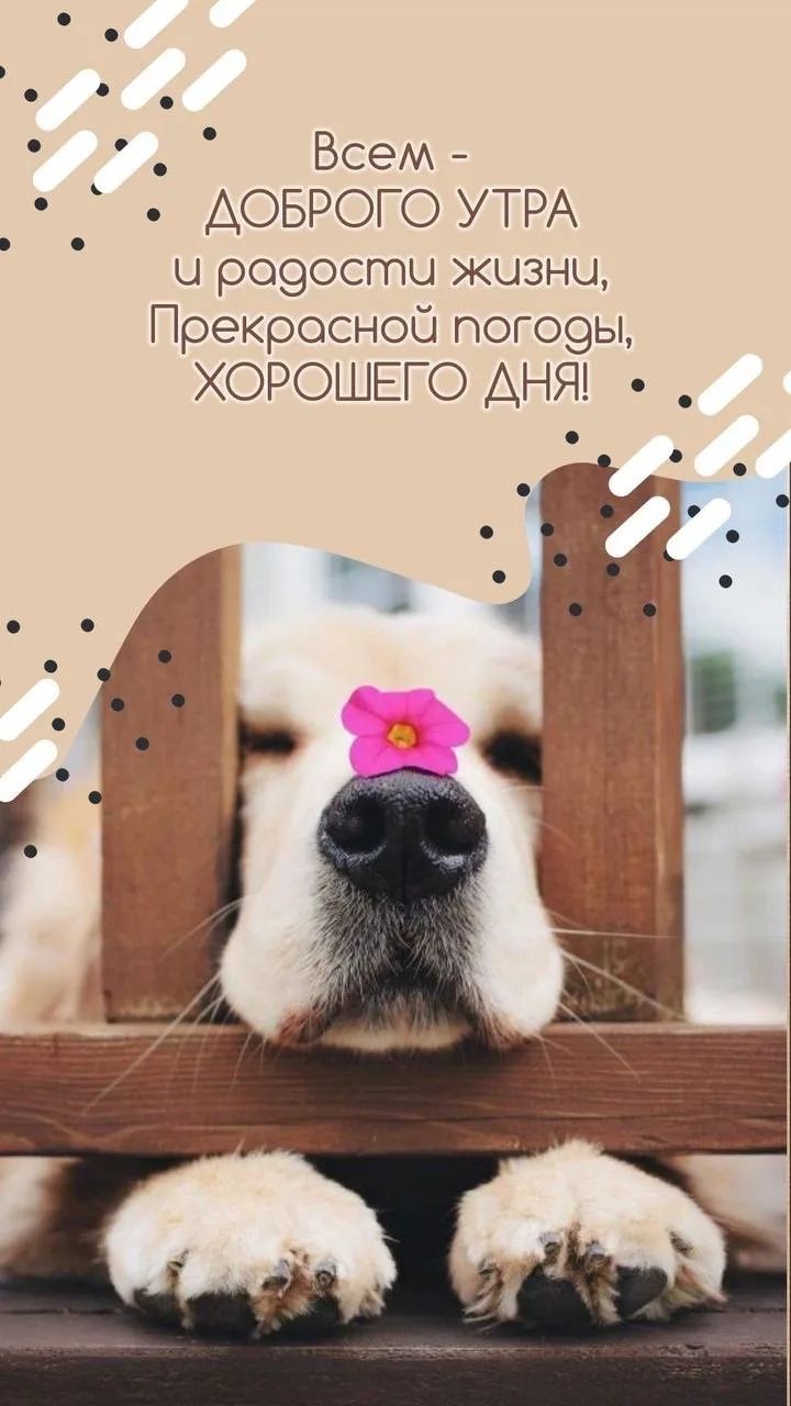 Всем - ДОБРОГО УТРА и радости жизни, Прекрасной погоды, ХОРОШЕГО ДНЯ!