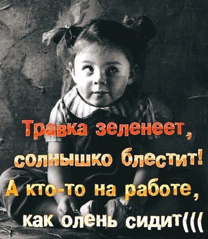 Травка зеленеет, солнышко блестит! А кто-то на работе, как олень сидит(((