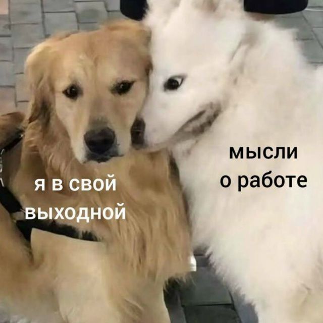 Я в свой выходной мысли о работе