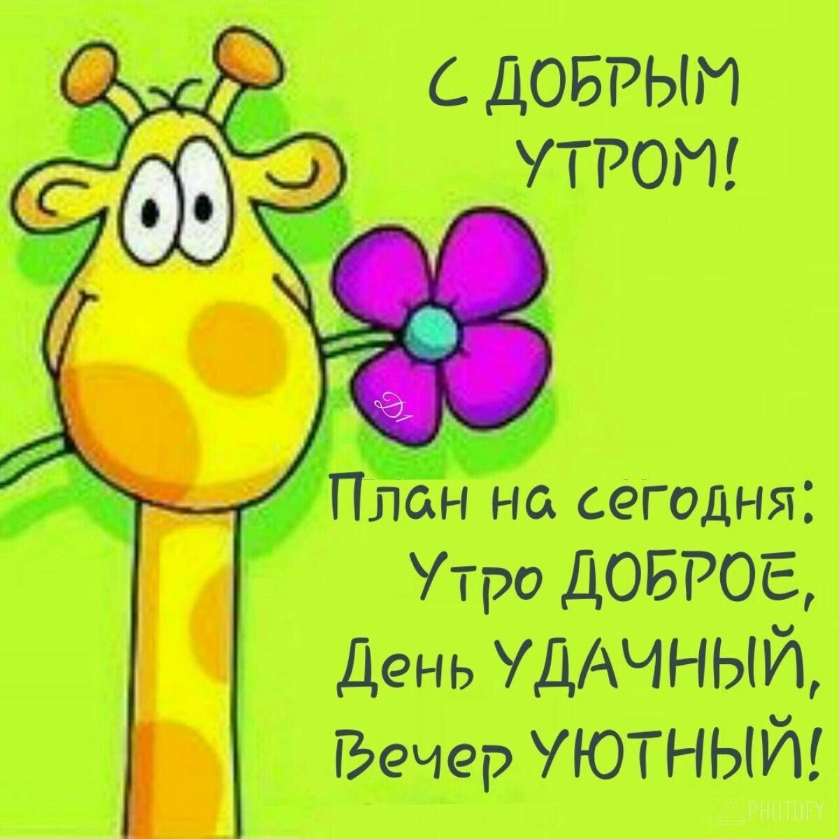 С добрым утром! План на сегодня: Утро доброе, День удачный, Вечер уютный!