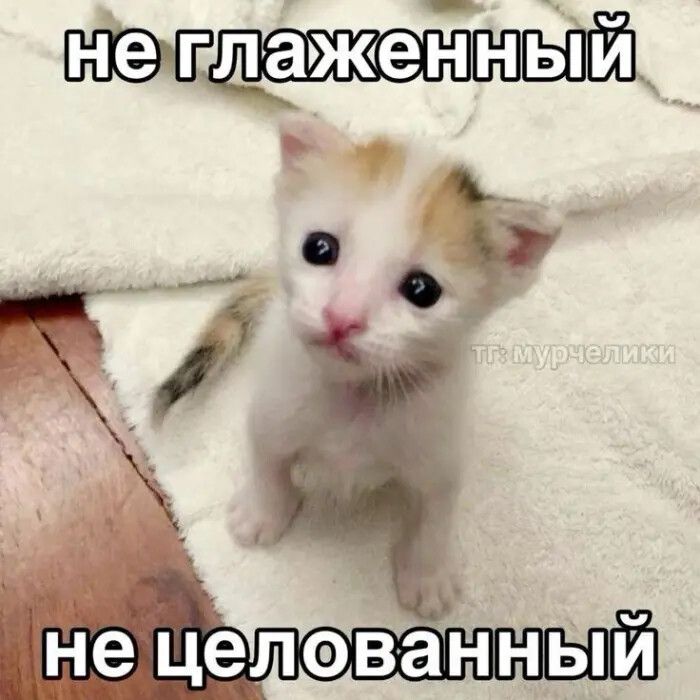 не глаженный не целованный