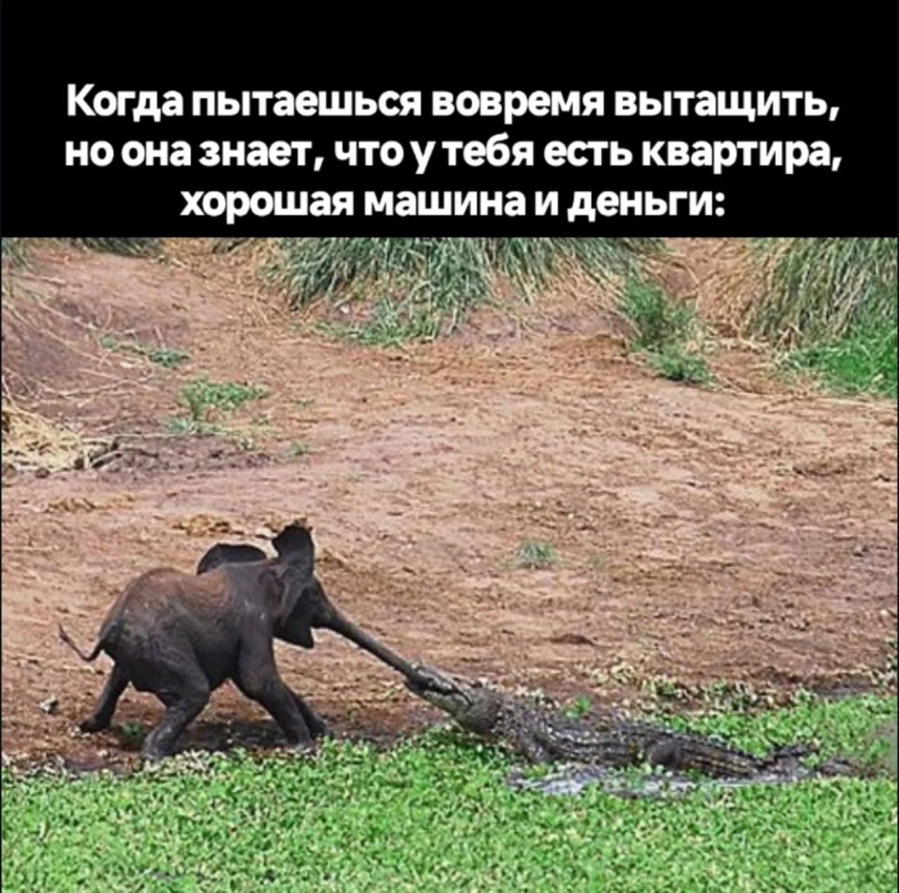 Когда пытаешься вовремя вытащить, но она знает, что у тебя есть квартира, хорошая машина и деньги: