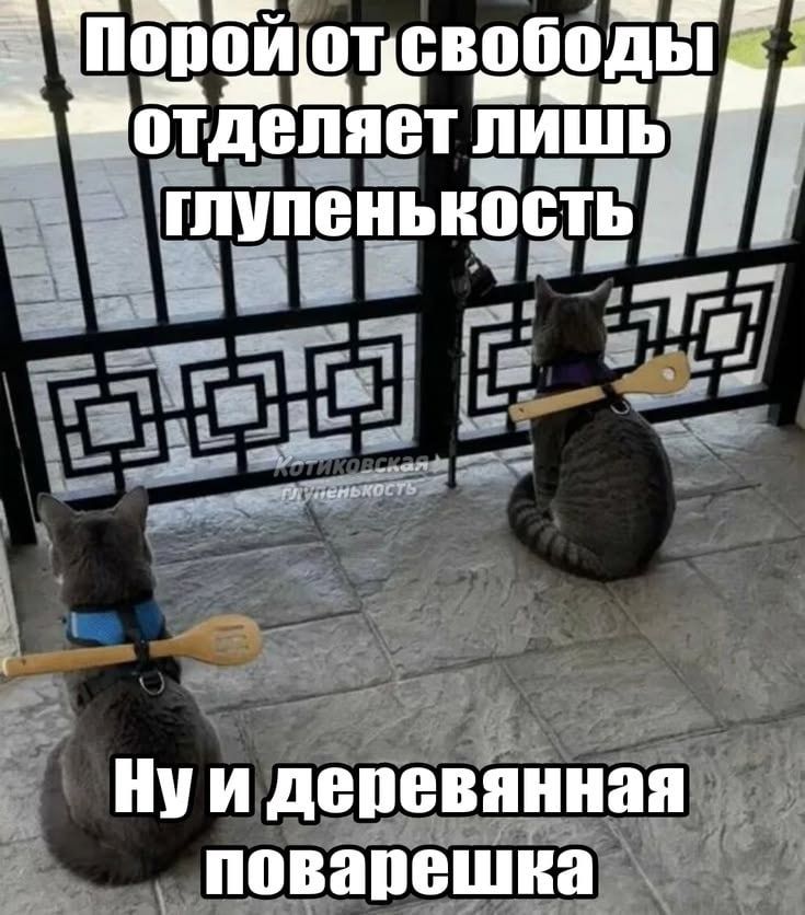 Порой от свободы отделяет лишь глупенькость. Ну и деревянная поварешка