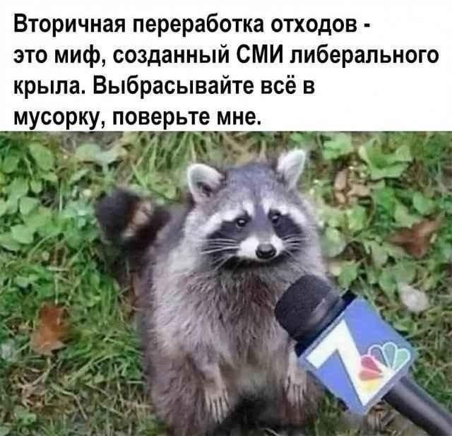 Вторичная переработка отходов - это миф, созданный СМИ либерального крыла. Выбрасывайте всё в мусорку, поверьте мне.