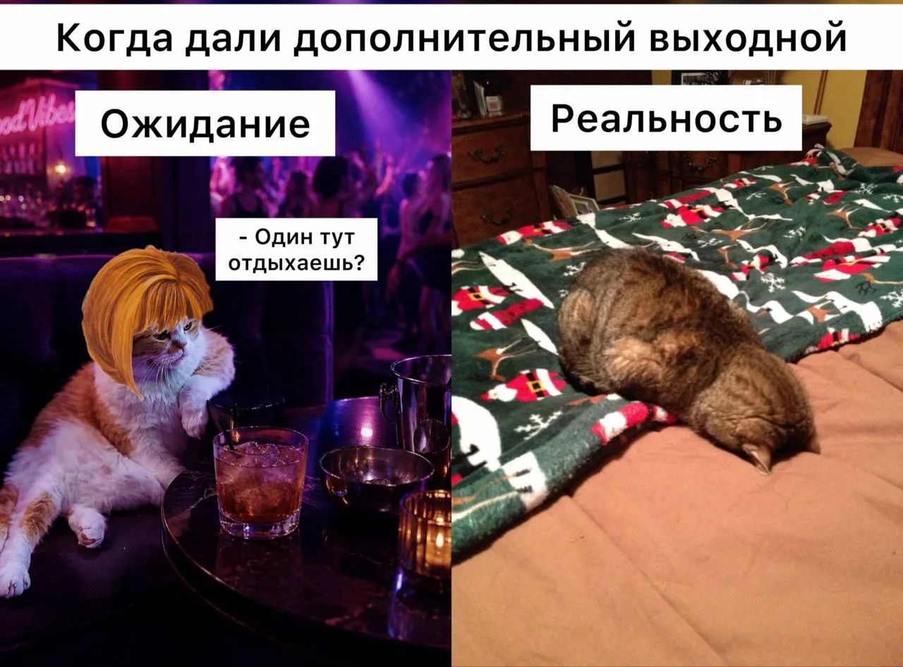 Когда дали дополнительный выходной. Ожидание. - Один тут отдыхаешь? Реальность.