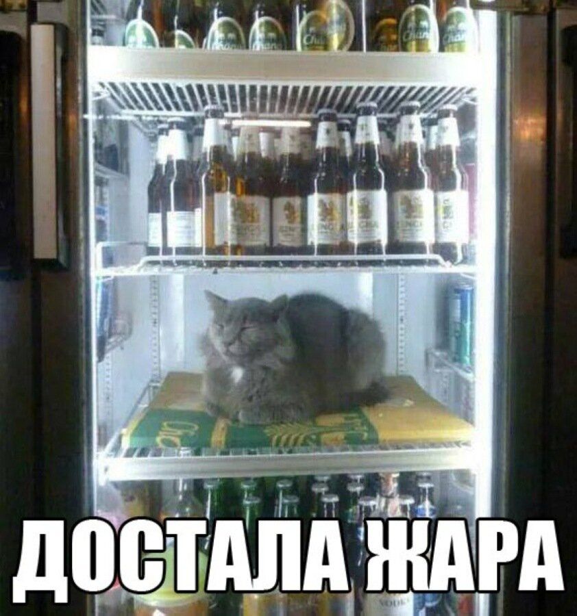 ДОСТАЛА ЖАРА