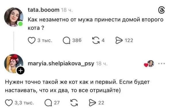 Как незаметно от мужа принести домой второго кота? Нужен точно такой же кот как и первый. Если будет настаивать, что их два, то все отрицайте)