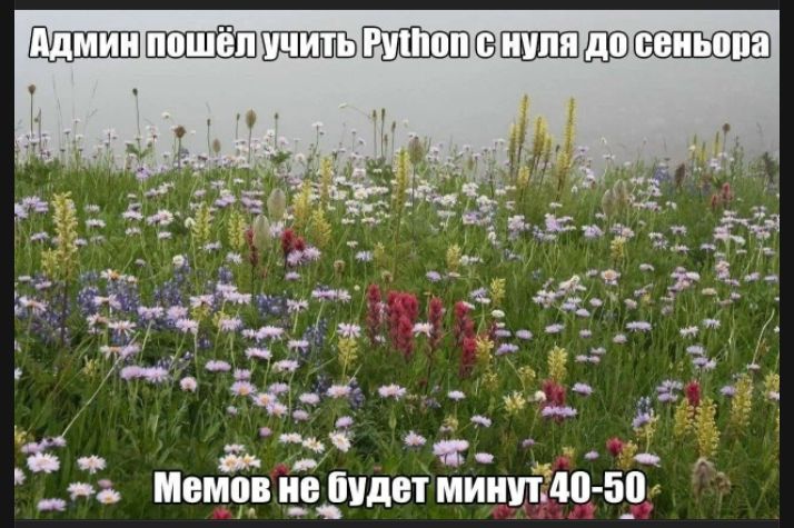 Админ пошёл учить Python с нуля до сеньора. Мемов не будет минут 40-50.