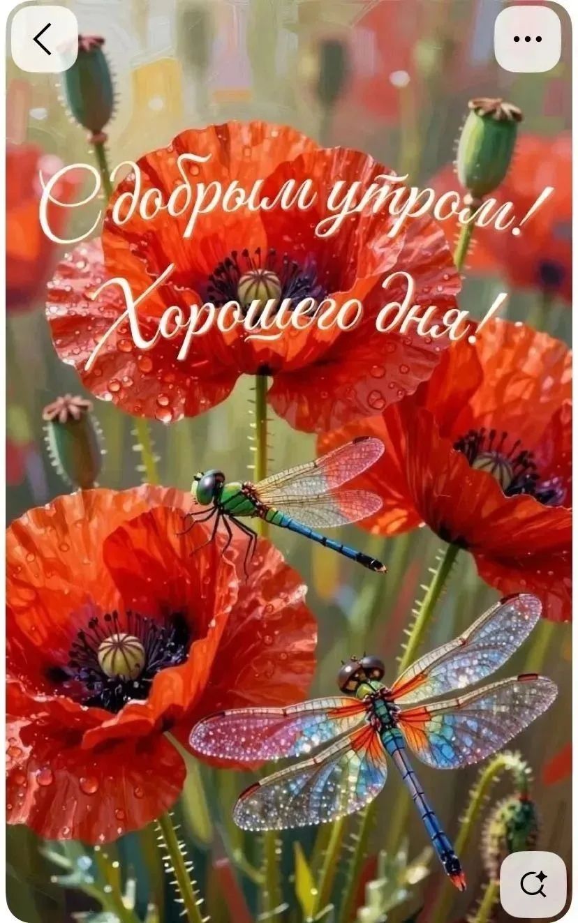 С добрым утром! Хорошего дня!