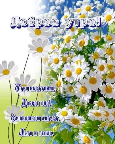 Доброе утро! Утро наступило! Доброе оно! За окошком август, лето и тепло.