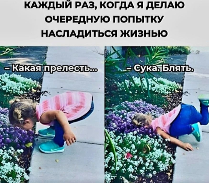 Каждый раз, когда я делаю очередную попытку насладиться жизнью. — Какая прелесть... — Сука. Блять.