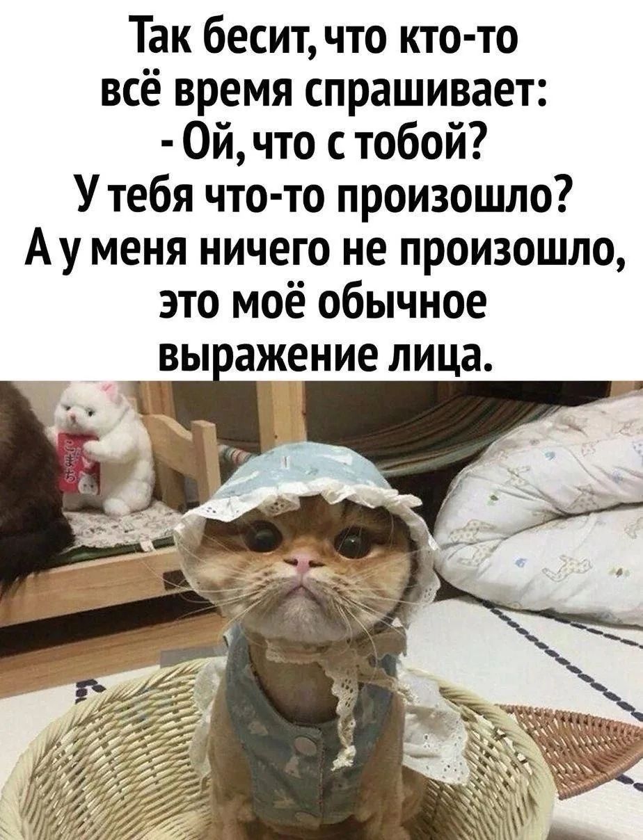 Так бесит, что кто-то всё время спрашивает: - Ой, что с тобой? У тебя что-то произошло? А у меня ничего не произошло, это моё обычное выражение лица.