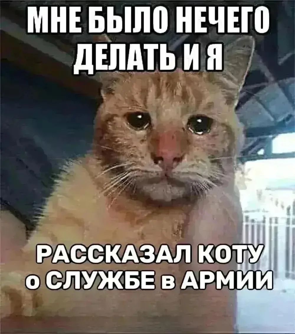 МНЕ БЫЛО НЕЧЕГО ДЕЛАТЬ И Я РАССКАЗАЛ КОТУ О СЛУЖБЕ В АРМИИ