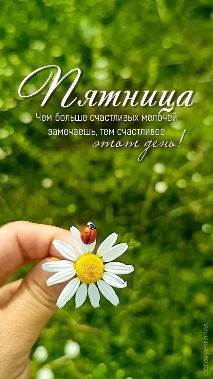Пятница Чем больше счастливых мелочей замечаешь, тем счастливее этот день!