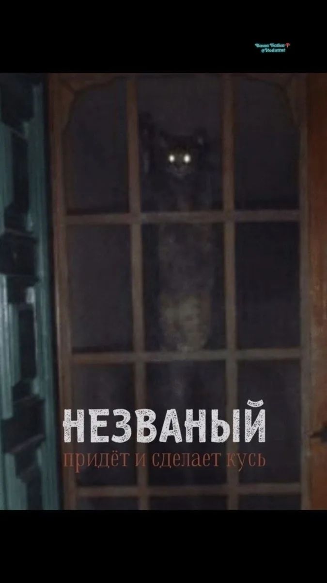 НЕЗВАНЫЙ придёт и сделает кусь Ваша Сова ? @Hodime