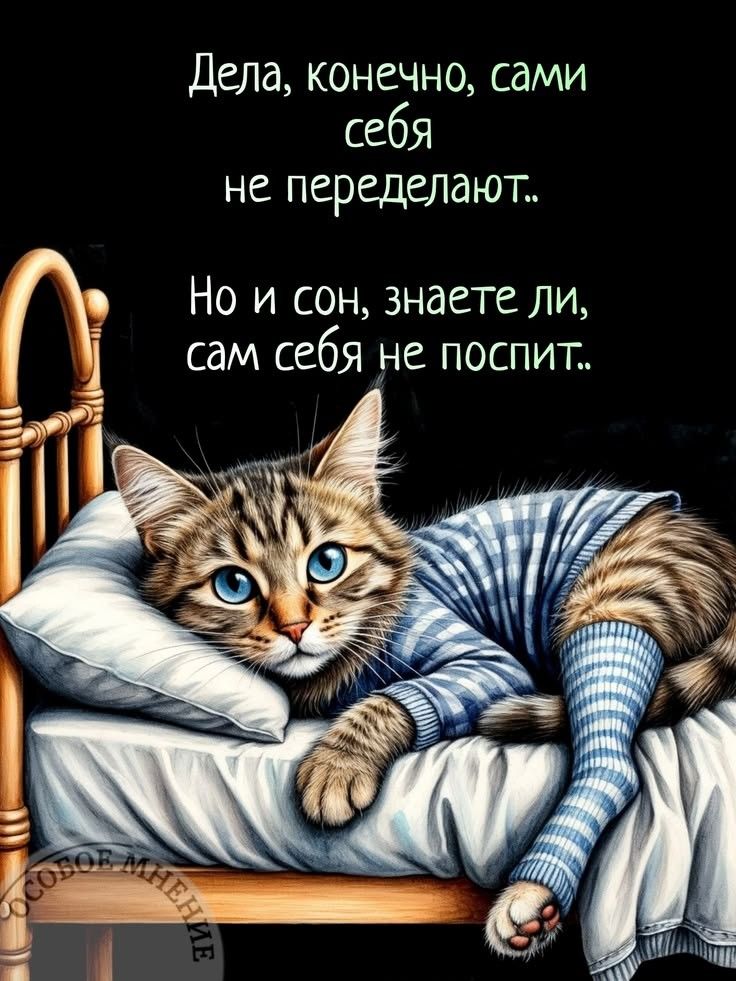 Дела, конечно, сами себя не переделают.. Но и сон, знаете ли, сам себя не поспит..