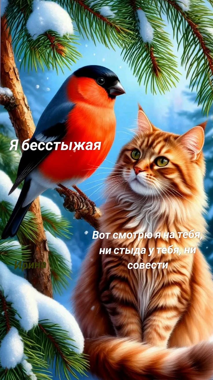 Я бесстыжая. Вот смотрю я на тебя, ни стыда у тебя, ни совести