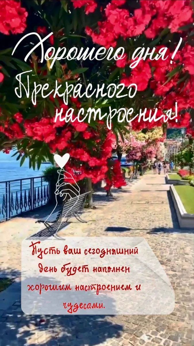 Хорошего дня! Прекрасного настроения! Пусть ваш сегодняшний день будет наполнен хорошим настроением и чудесами.