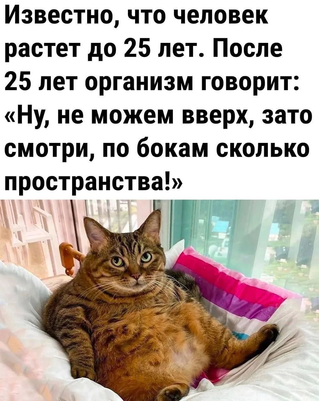 Известно, что человек растет до 25 лет. После 25 лет организм говорит: «Ну, не можем вверх, зато смотри, по бокам сколько пространства!»