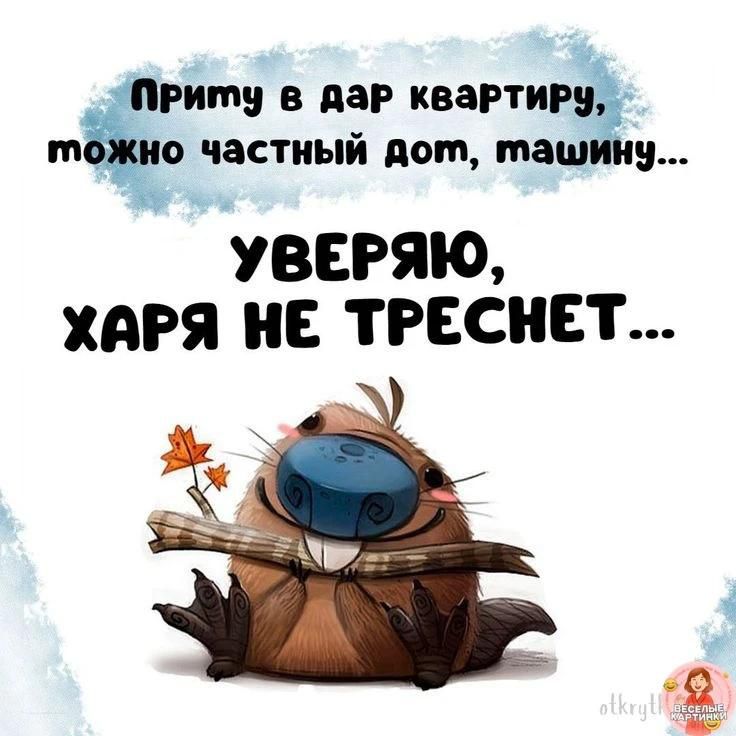 Приму в дар квартиру, можно частный дом, машину... Уверяю, харя не треснет...