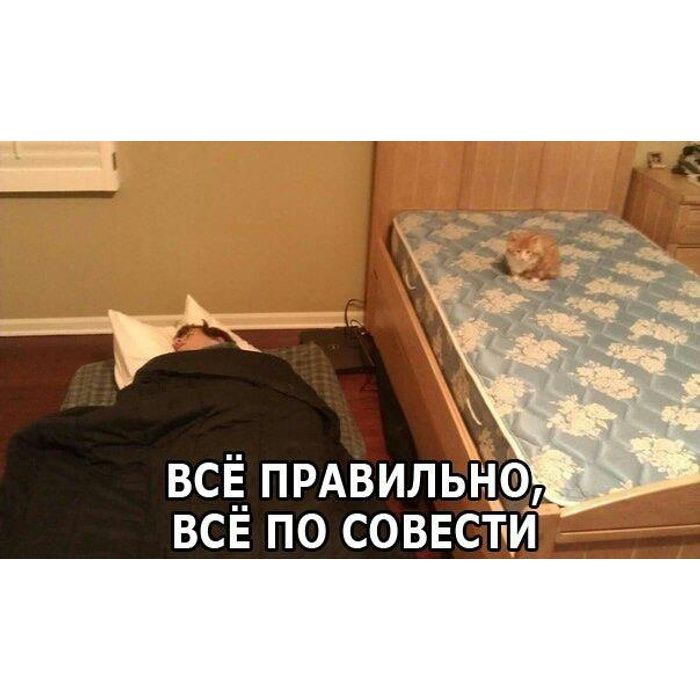 ВСЁ ПРАВИЛЬНО, ВСЁ ПО СОВЕСТИ