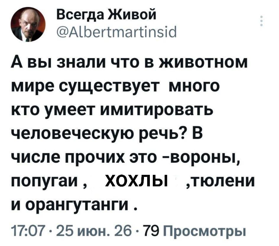Всегда Живой @Albertmartinsid А вы знали что в животном мире существует много кто умеет имитировать человеческую речь? В числе прочих это -вороны, попугаи , хохлы ,тюлени и орангутанги . 17:07 · 25 июн. 26 · 79 Просмотры