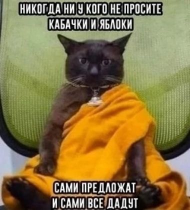 НИКОГДА НИ У КОГО НЕ ПРОСИТЕ КАБАЧКИ И ЯБЛОКИ САМИ ПРЕДЛОЖАТ И САМИ ВСЕ ДАДУТ
