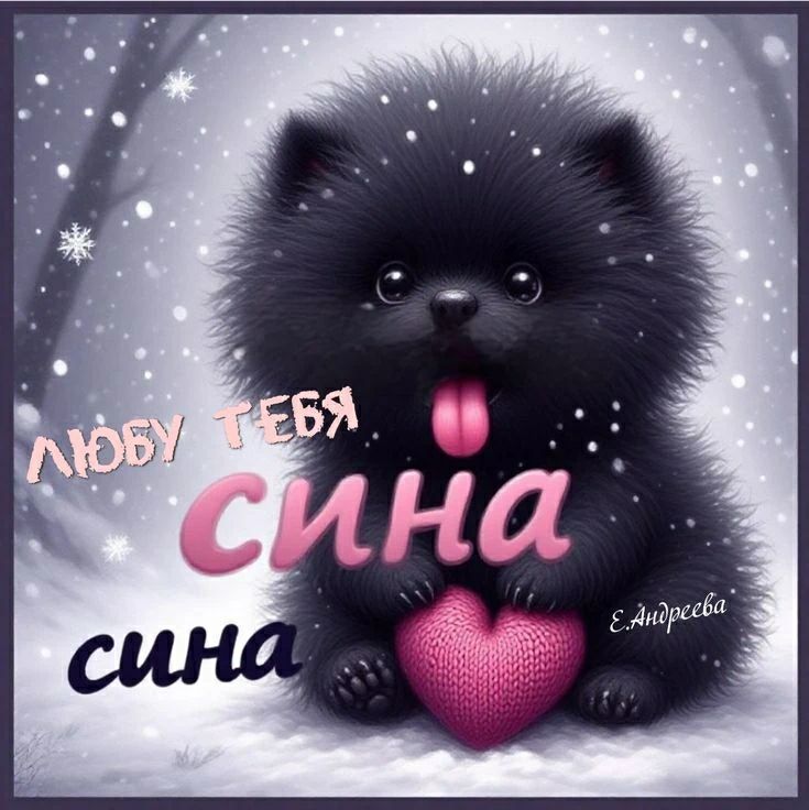 ЛЮБУ ТЕБЯ СИНА сина Е.Андреева