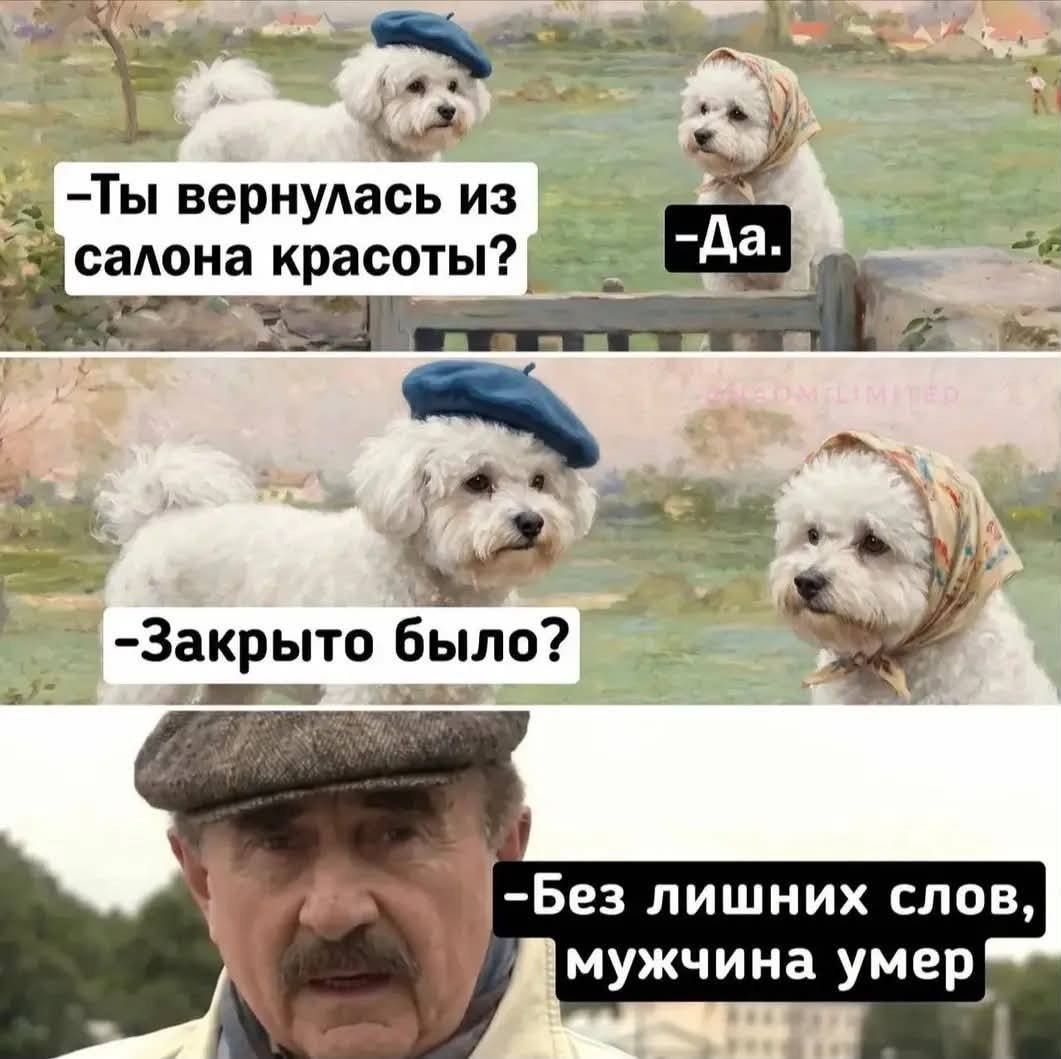 - Ты вернулась из салона красоты? - Да. - Закрыто было? - Без лишних слов, мужчина умер