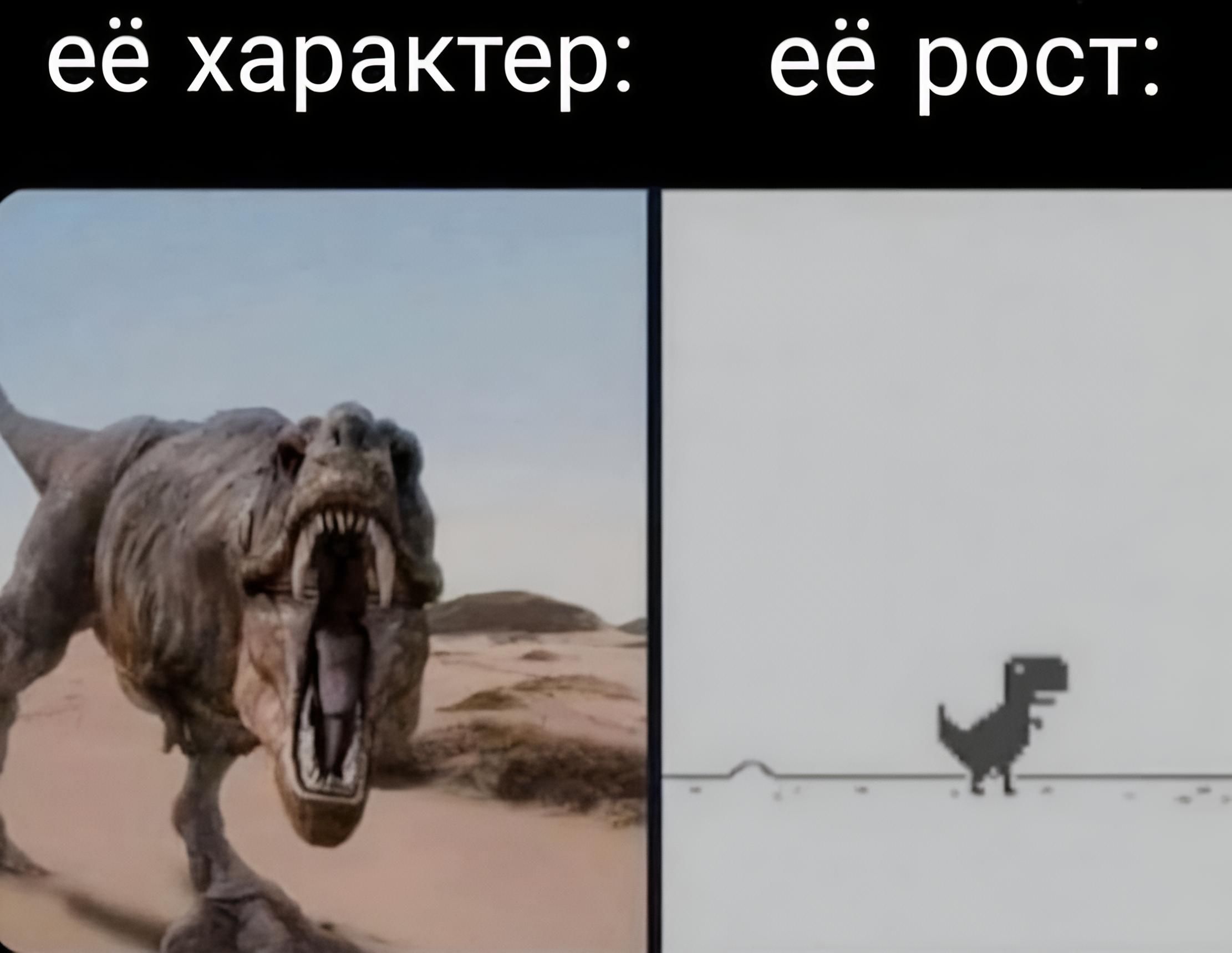 её характер: её рост:
