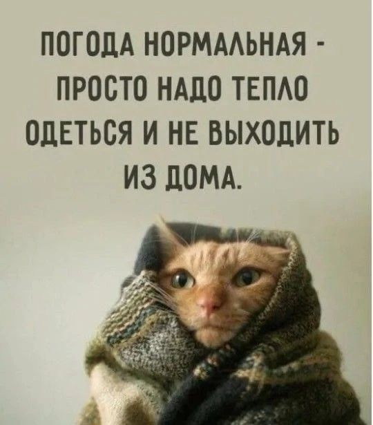 ПОГОДА НОРМАЛЬНАЯ - ПРОСТО НАДО ТЕПЛО ОДЕТЬСЯ И НЕ ВЫХОДИТЬ ИЗ ДОМА.