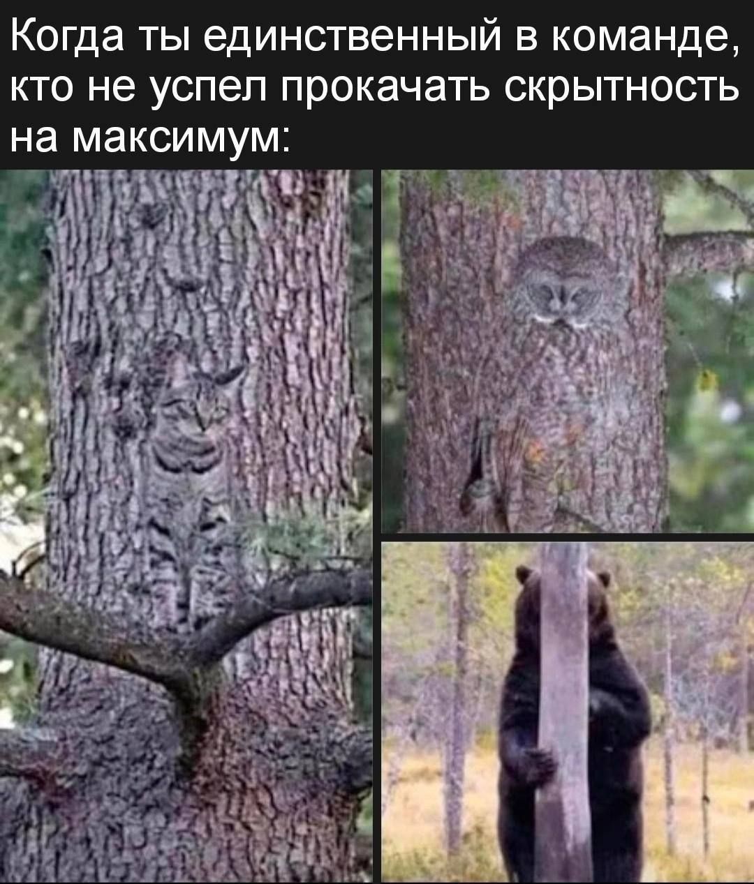 Когда ты единственный в команде, кто не успел прокачать скрытность на максимум: