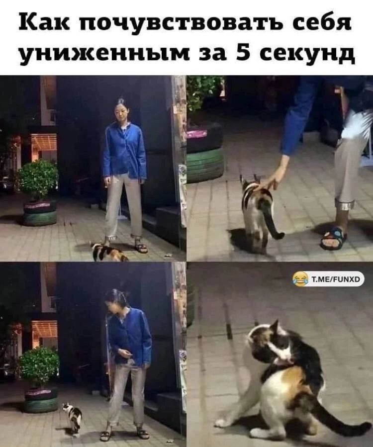 Как почувствовать себя униженным за 5 секунд