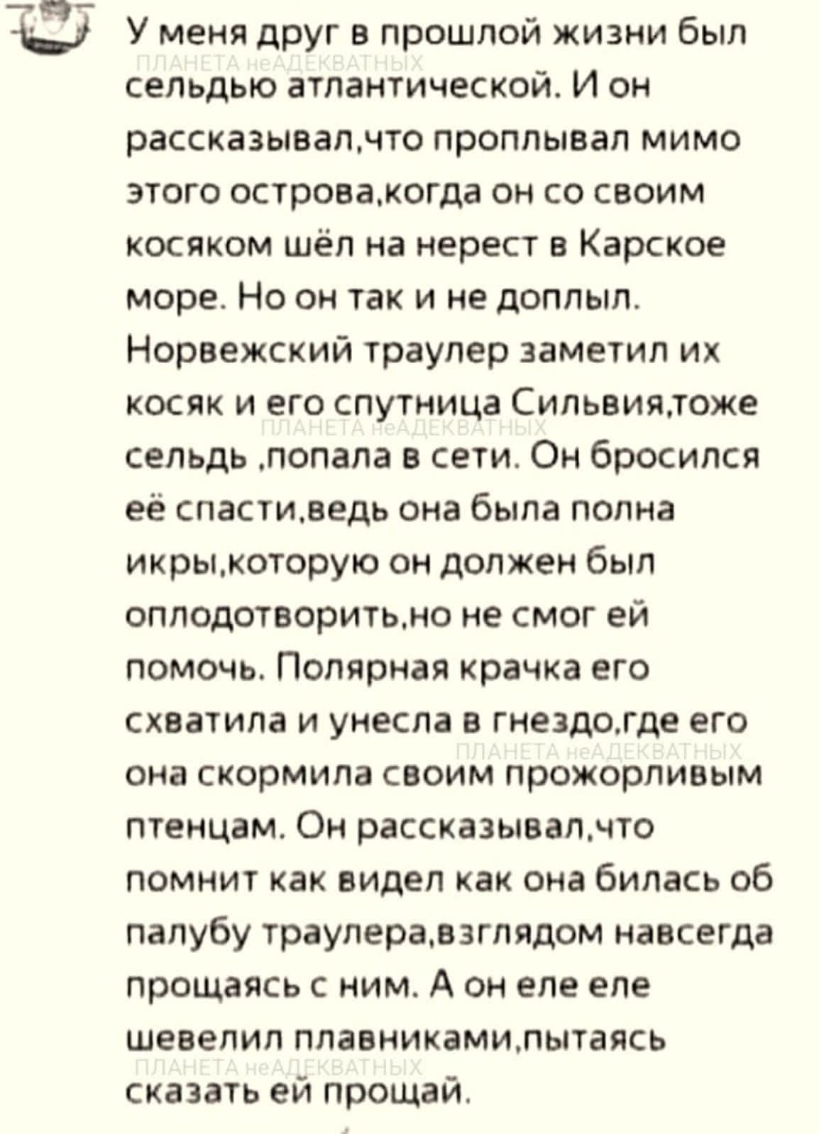 У меня друг в прошлой жизни был сельдью атлантической. И он рассказывал, что проплывал мимо этого острова, когда он со своим косяком шёл на нерест в Карское море. Но он так и не доплыл. Норвежский траулер заметил их косяк и его спутница Сильвия, тоже сельдь, попала в сети. Он бросился её спасти, ведь она была полна икры, которую он должен был