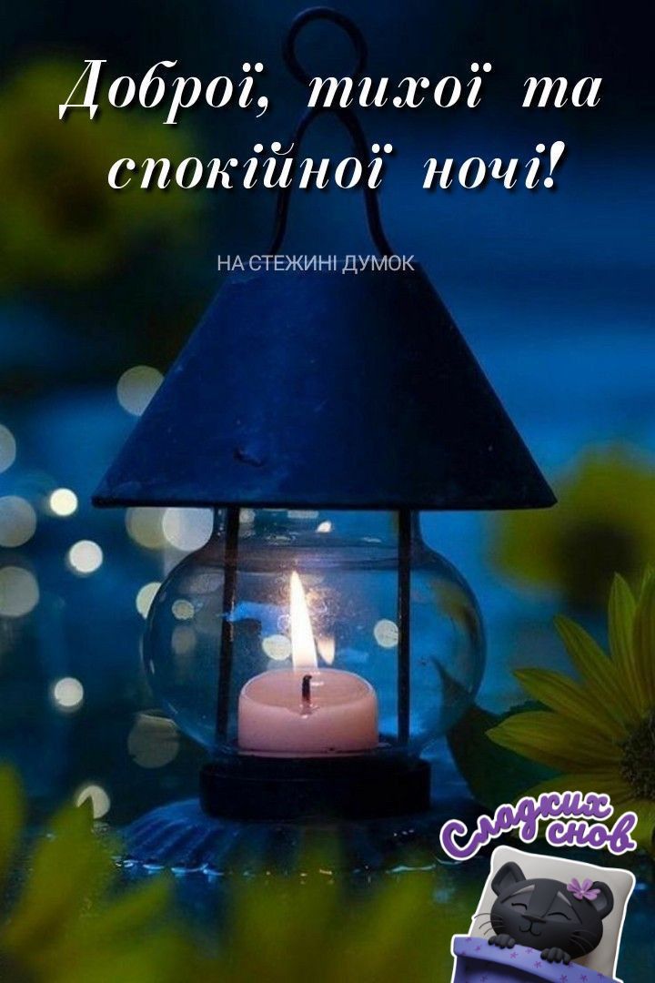 Доброї, тихої та спокійної ночі! НА СТЕЖИНІ ДУМОК Сладких снов