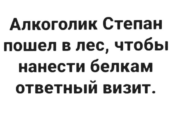 Алкоголик Степан пошел в лес, чтобы нанести белкам ответный визит.