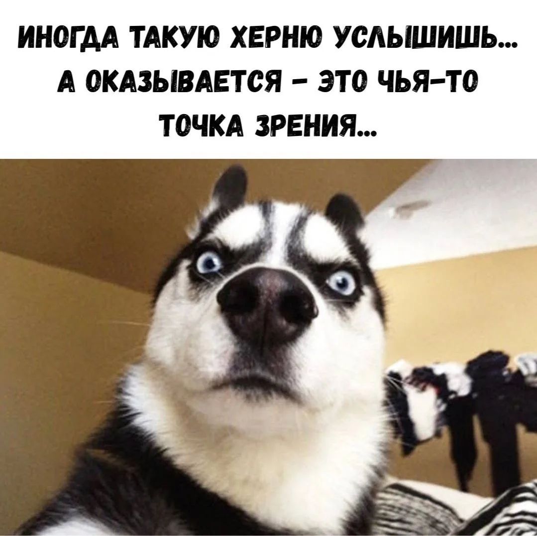 ИНОГДА ТАКУЮ ХЕРНЮ УСЛЫШИШЬ... А ОКАЗЫВАЕТСЯ – ЭТО ЧЬЯ-ТО ТОЧКА ЗРЕНИЯ...