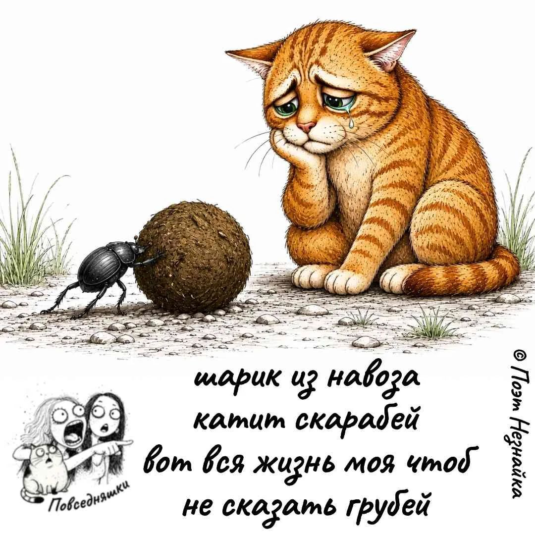 шарик из навоза катит скарабей вот вся жизнь моя чтоб не сказать грубей
