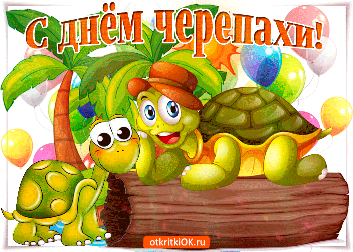 С днём черепахи!