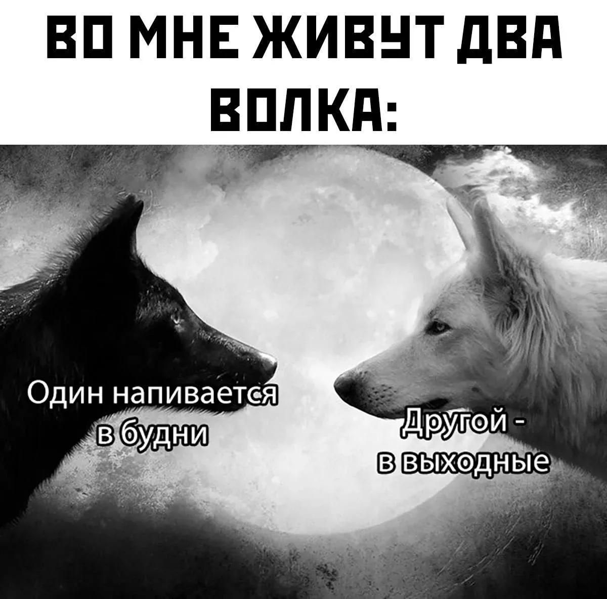 ВО МНЕ ЖИВУТ ДВА ВОЛКА: Один напивается в будни Другой - в выходные