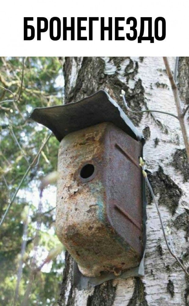 БРОНЕГНЕЗДО