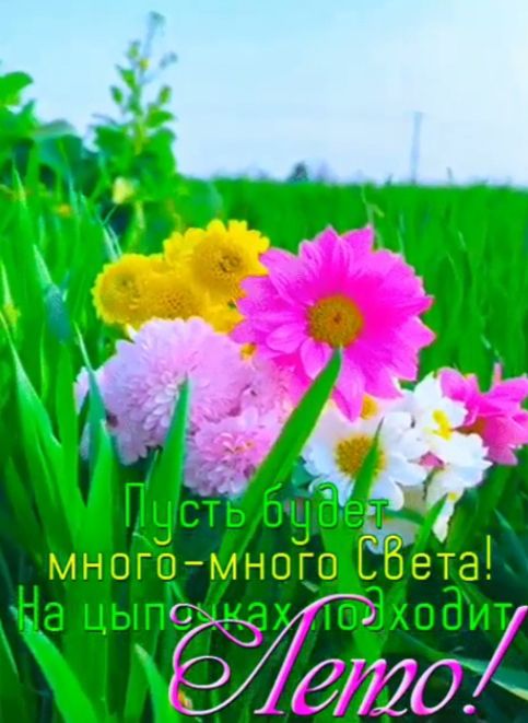 Пусть будет много-много Света! На цыпочках подходит Лето!
