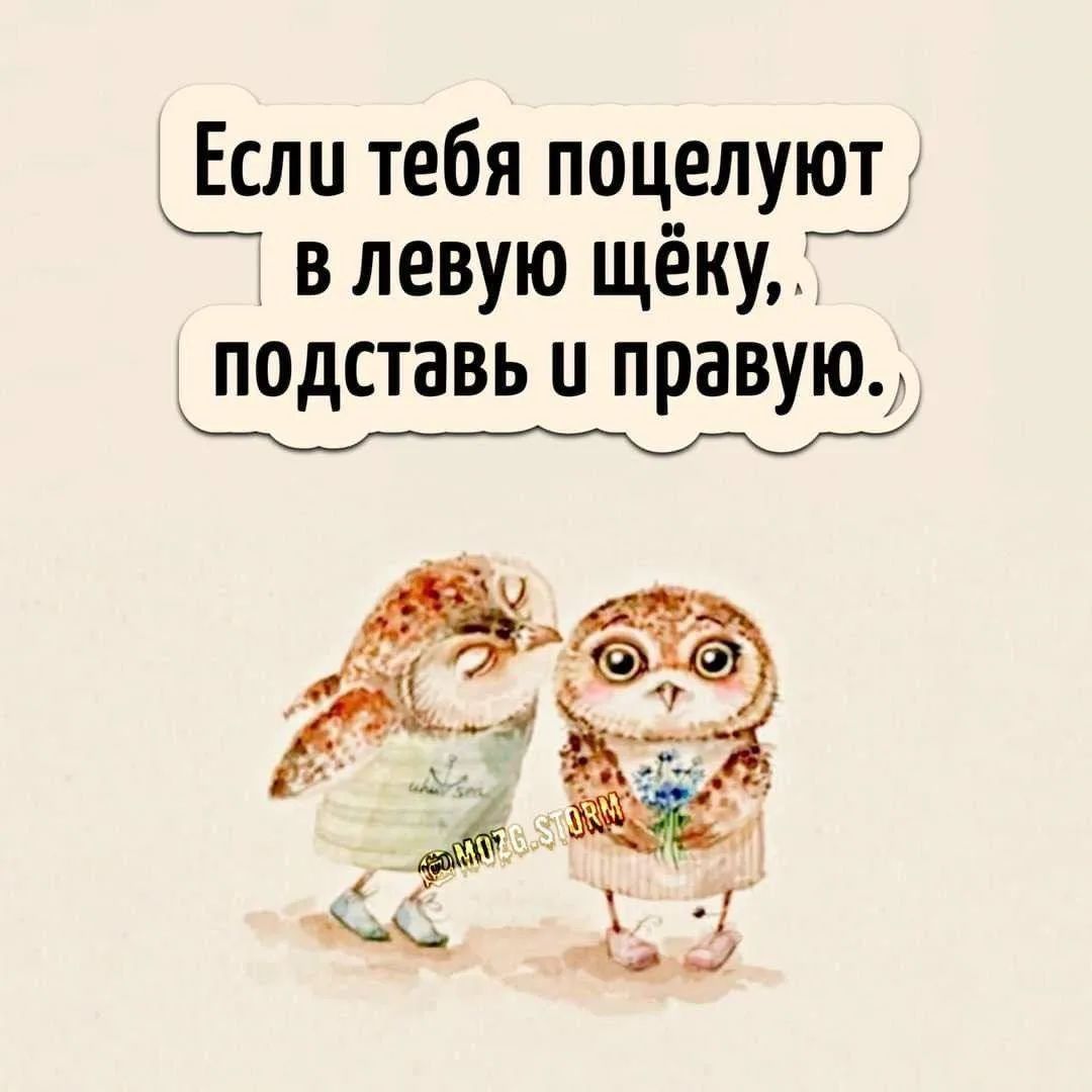 Если тебя поцелуют в левую щёку, подставь и правую.