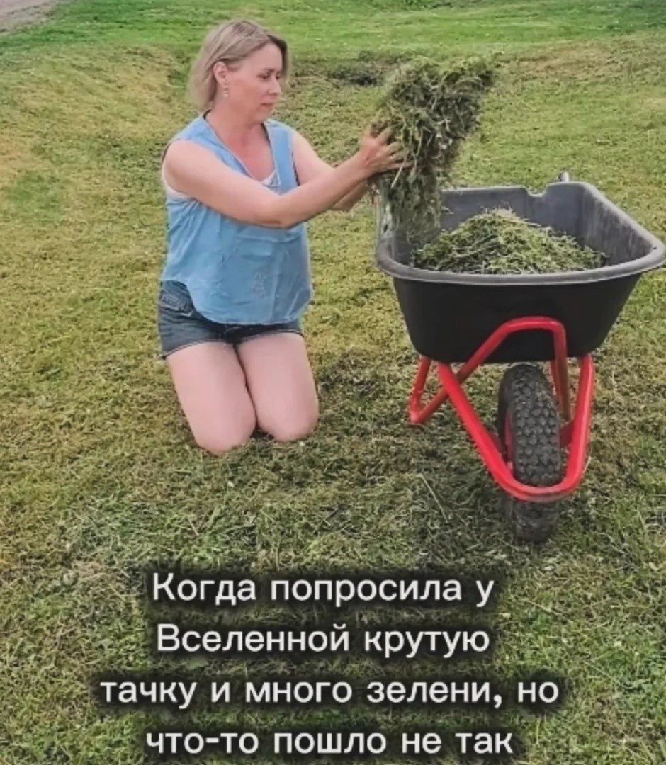Когда попросила у Вселенной крутую тачку и много зелени, но что-то пошло не так