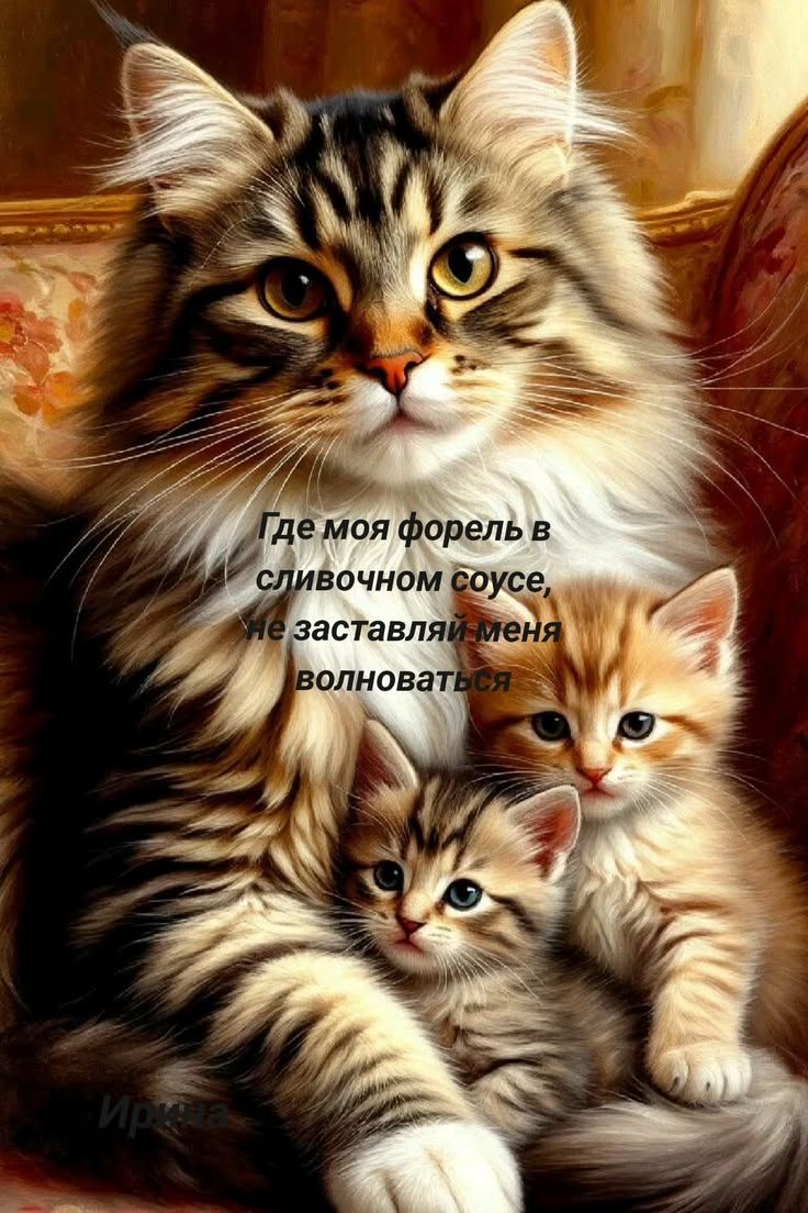 Где моя форель в сливочном соусе, не заставляй меня волноваться