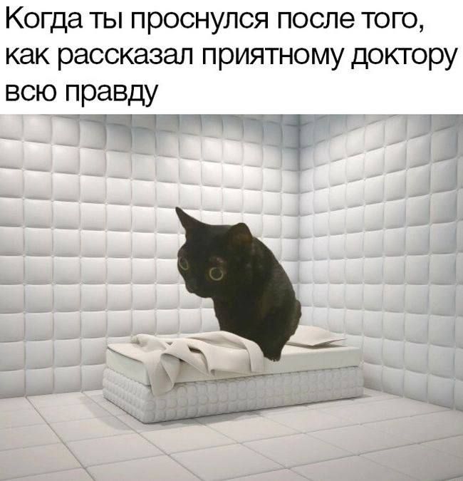 Когда ты проснулся после того, как рассказал приятному доктору всю правду