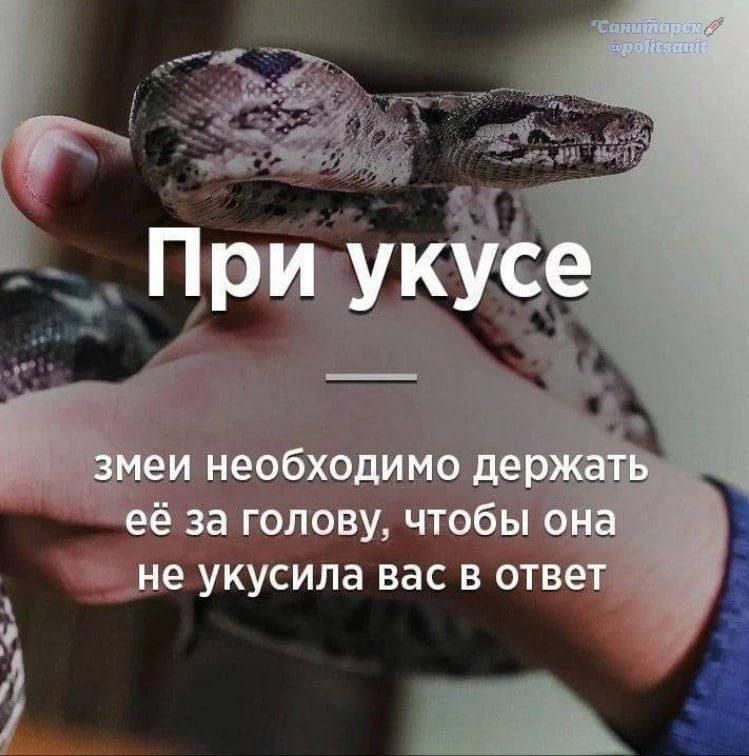 При укусе змеи необходимо держать её за голову, чтобы она не укусила вас в ответ