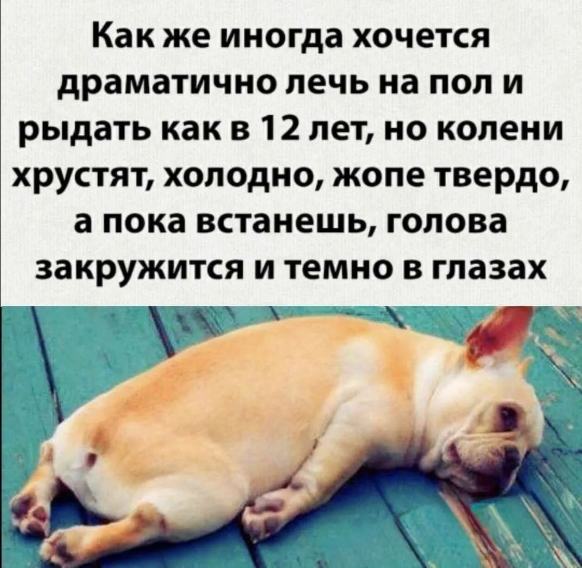 Как же иногда хочется драматично лечь на пол и рыдать как в 12 лет, но колени хрустят, холодно, жопе твердо, а пока встанешь, голова закружится и темно в глазах