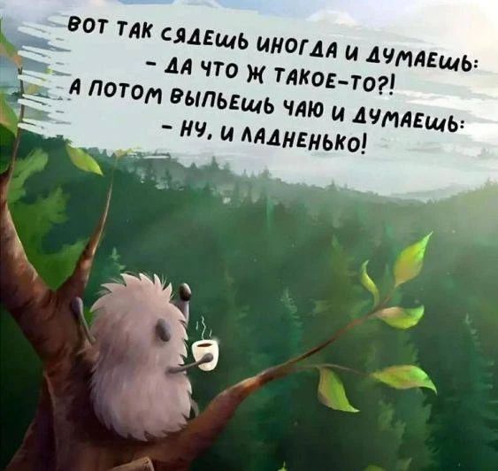 Вот так сядешь иногда и думаешь: — Да что ж такое-то?! А потом выпьешь чаю и думаешь: — Ну, и ладненько!